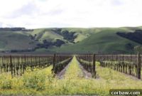 Spiced Pumpkin Gingersnap Parfaits