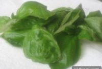 Zesty Sun-Kissed Pesto