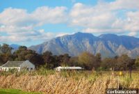 Stellenbosch Sundays: Exploring Cape Wine Country