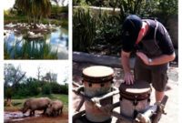 Orlando Food Blog Forum at Walt Disney World 2012