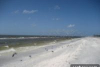 Easing Back In: Cooking Light’s Hot and Sour Pork with Cabbage