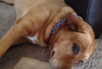 A Photo A Day 2013 Project 365 Week 1