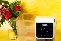 Sous Vide Demystified: An Easy Guide for Newcomers
