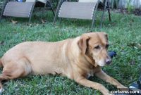 Best of 2013 Our Favorites