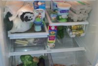 My Refrigerator Unpacked 10 Essentials