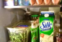 Reluctant Host’s Fridge Confessions