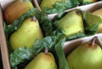 Pear-fectly Delicious: 8 Ways to Savor Pears and Win Harry & David Royal Riviera Pears