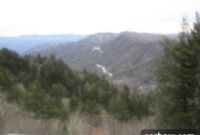 Home Sweet Home and Ina’s Mexican Chicken Soup