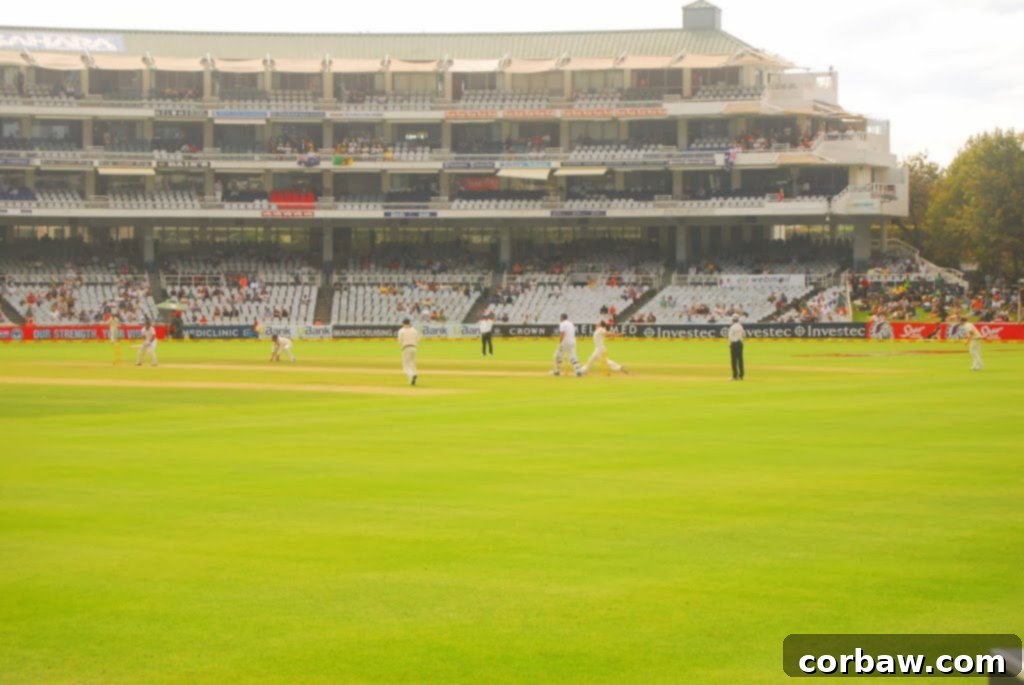 Cricket field action