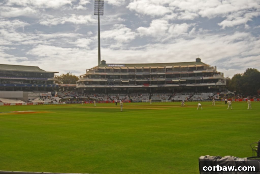 Spectators enjoying the cricket match