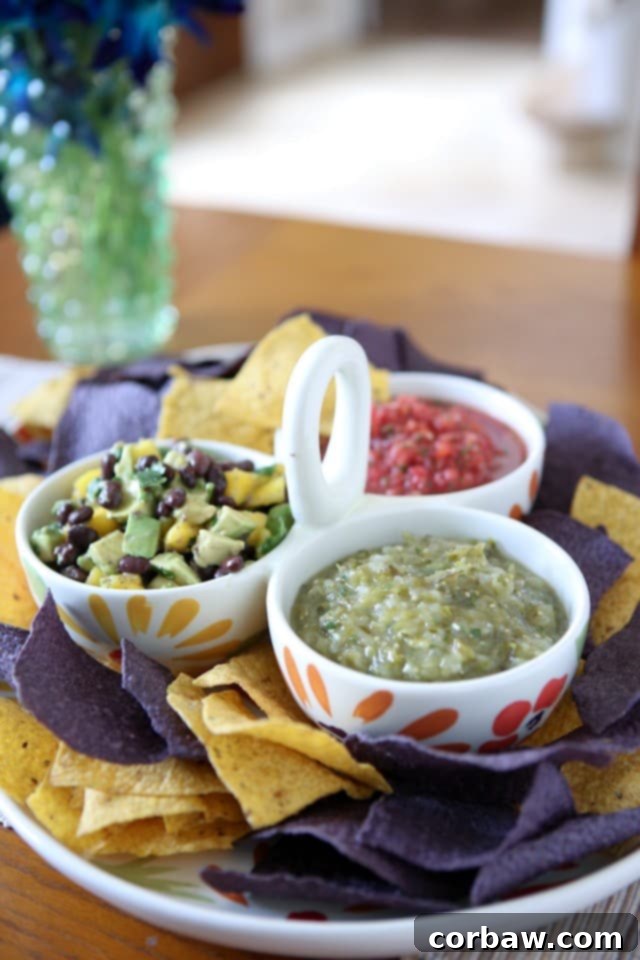 Zesty Roasted Tomatillo Salsa 4 Roasted Tomatillo Salsa | Aggie's Kitchen