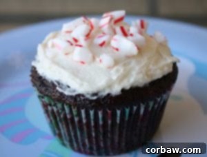 A perfectly baked Candy Cane Chocolate Cupcake