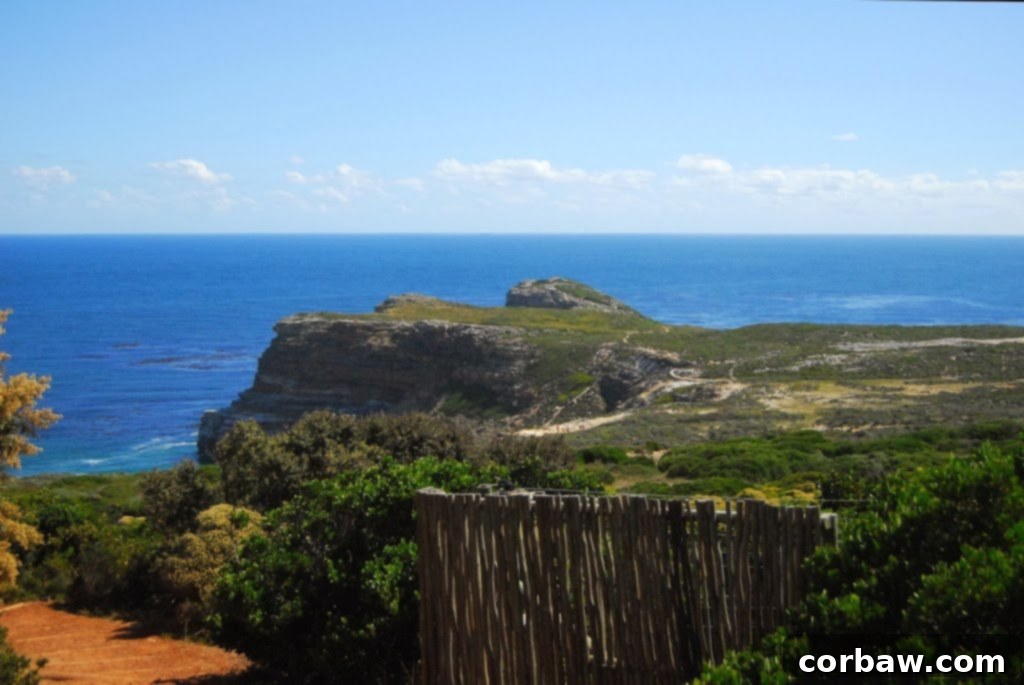 The scenic drive through Table Mountain National Park towards the Cape of Good Hope.