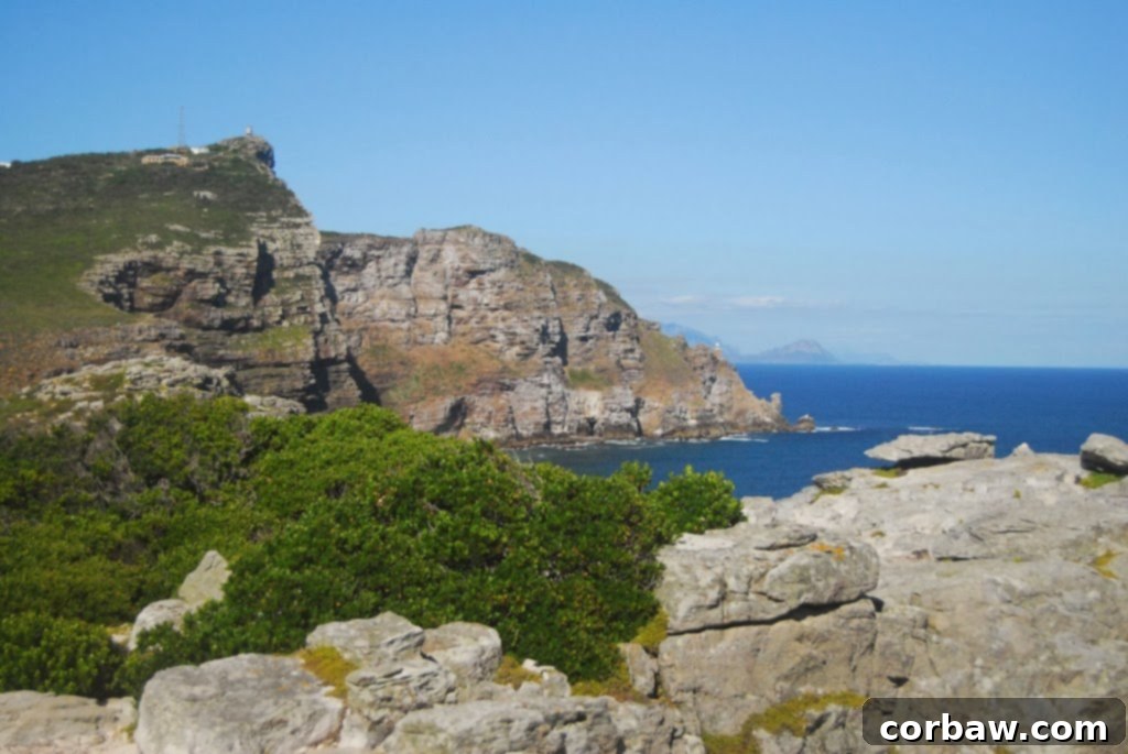Panoramic view from the Cape of Good Hope, showcasing the dramatic cliffs and vast ocean.