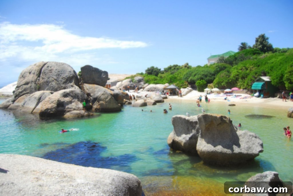 Visitors exploring the unique boulder formations and calm waters of Boulders Beach, enjoying the warm Cape Town weather.