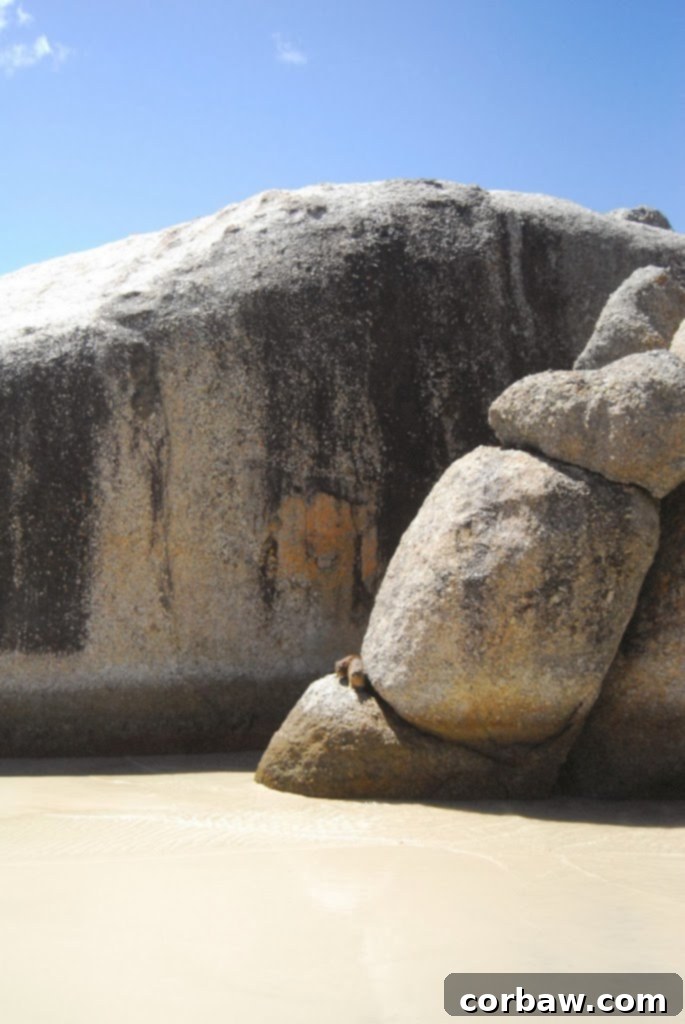 Vertical shot of the vibrant blue ocean and ancient granite boulders at Boulders Beach, highlighting its natural beauty and unique geological features.