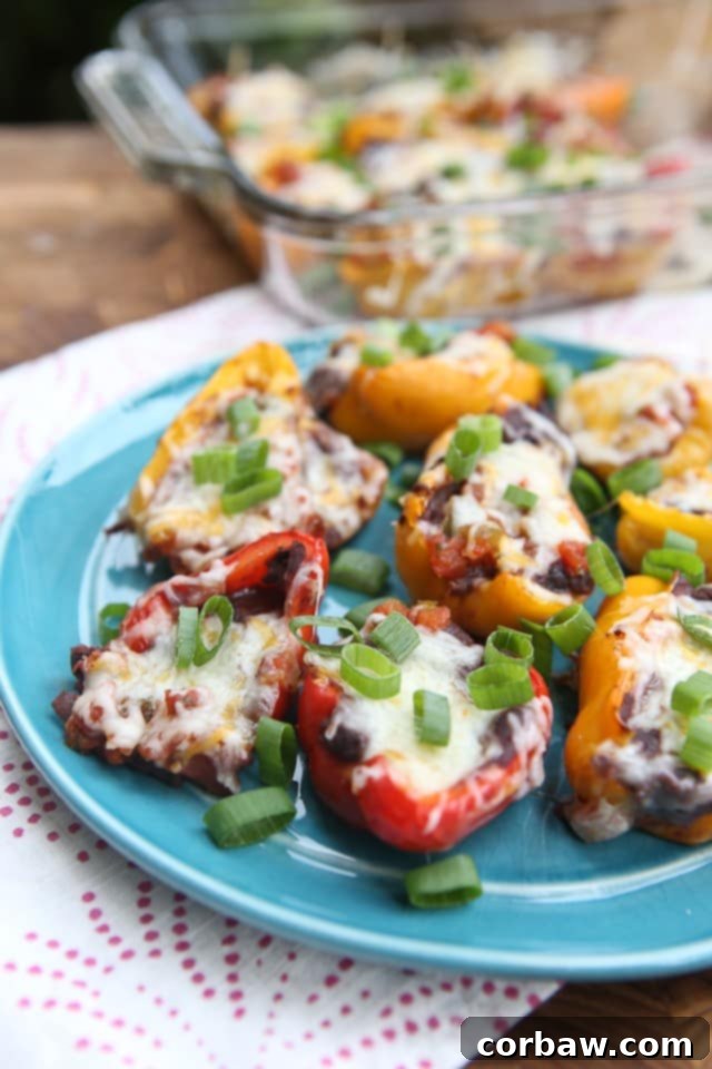 Mini Mexican Stuffed Peppers - baby bell peppers stuffed with black refried beans, salsa and cheese. Great side dish or appetizer and hard to resist! Recipe via aggieskitchen.com