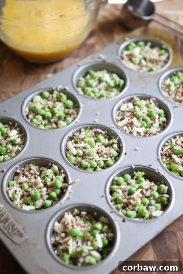 Savory Egg Cups 5 muffin tin filled with quinoa, peas and cheese mixture before adding eggs