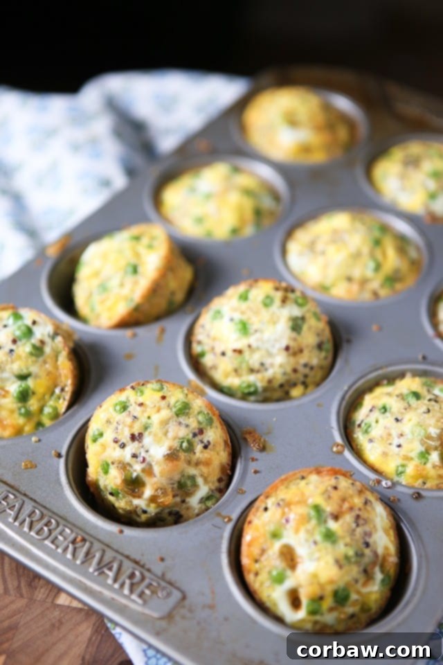These quinoa and egg frittata muffins are packed with protein and flavor - perfect for breakfast, lunch or snacking! muffin tin filled with egg muffins