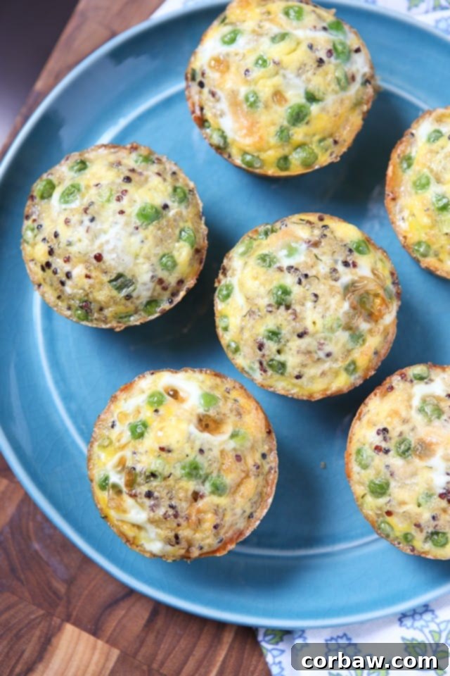 Protein packed quinoa and egg frittata muffins - perfect for breakfast or snacking on the go!