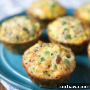 Protein packed quinoa and egg frittata muffins - perfect for breakfast or snacking on the go!