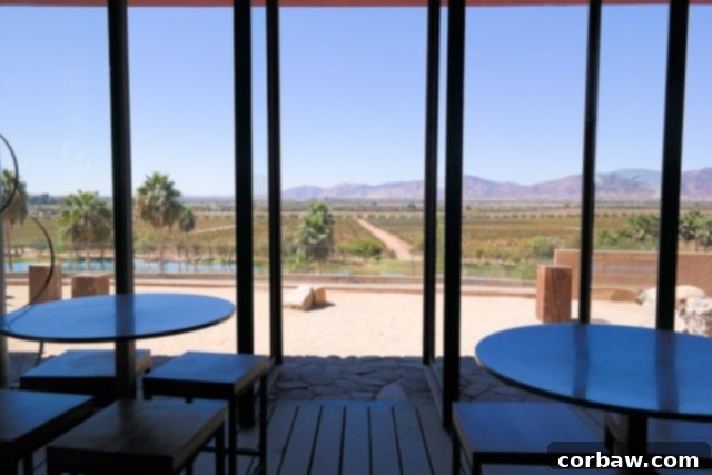 Ruby Princess West Coast Escape 13 Wine tasting experience at Fess Parker Winery in Santa Barbara, California