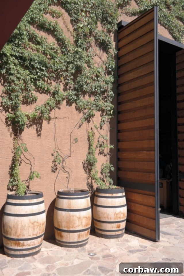 Ruby Princess West Coast Escape 16 Authentic Ensenada fish tacos, a true taste of local Baja California cuisine