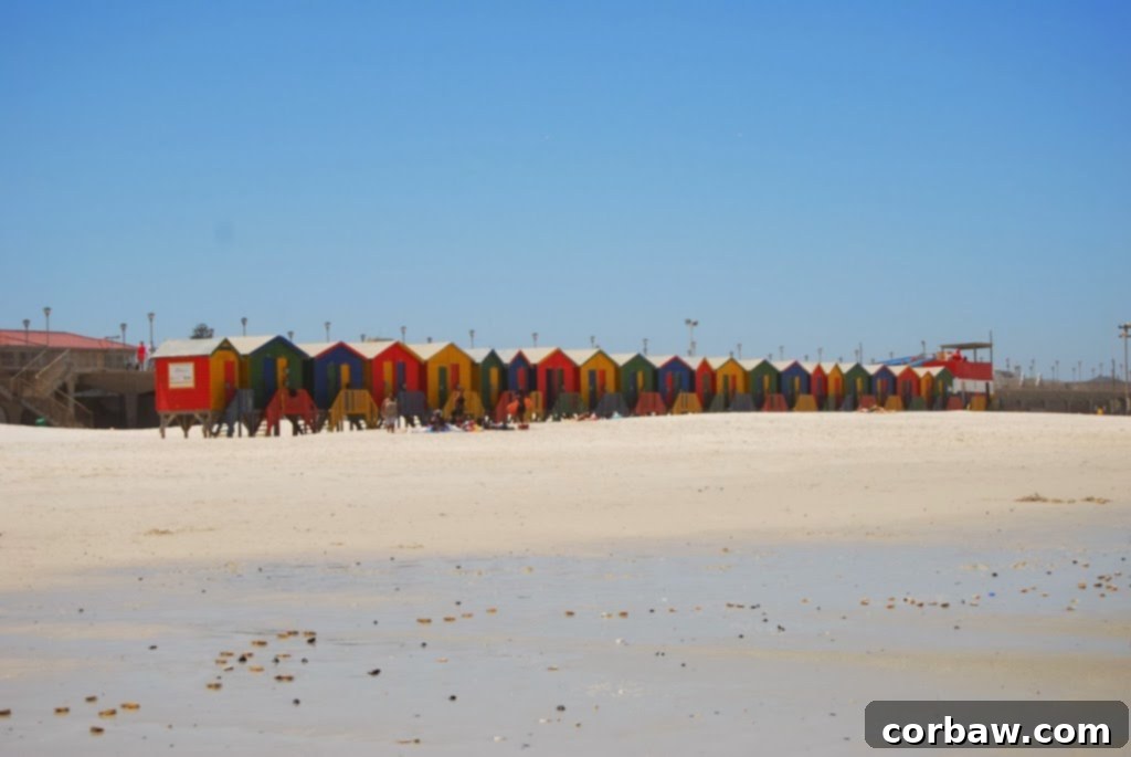 The famous colorful bathing boxes lining Muizenberg Beach, a popular photographic subject