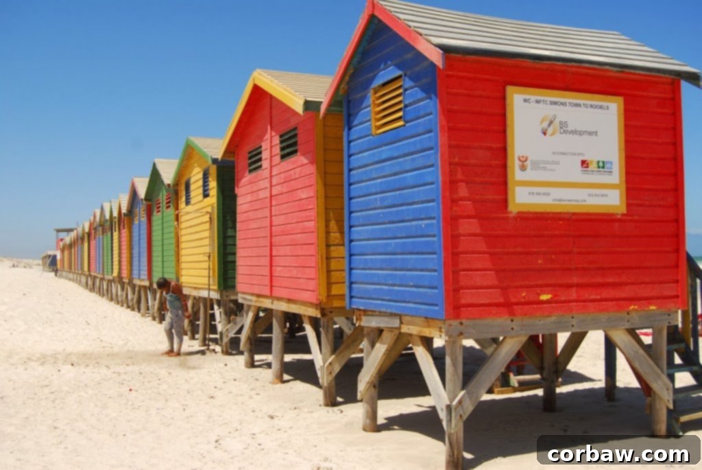 A panoramic shot of Muizenberg Beach, capturing its wide expanse and vibrant atmosphere