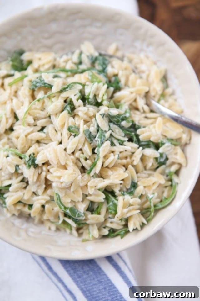 A simple side dish that is full of flavor! Creamy goat cheese and fresh arugula combined with warm orzo, your whole family will love this one.