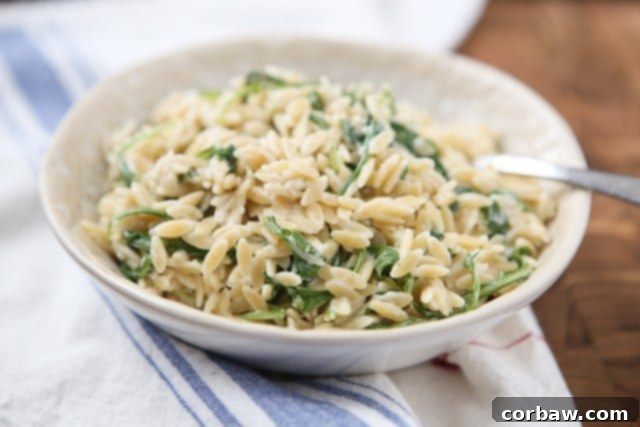 A simple side dish that is full of flavor! Creamy goat cheese and fresh arugula combined with warm orzo, your whole family will love this one.