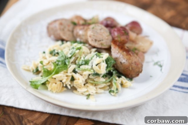 A simple side dish that is full of flavor! Creamy goat cheese and fresh arugula combined with warm orzo, your whole family will love this one.