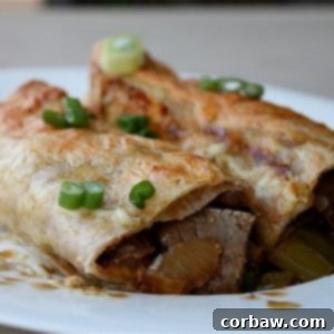 Delicious Steak Fajita Enchiladas with bubbly cheese