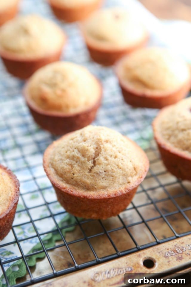 Warm Cinnamon Banana Nut Muffins topped with crunchy pecans, a perfect family treat made with Greek yogurt.