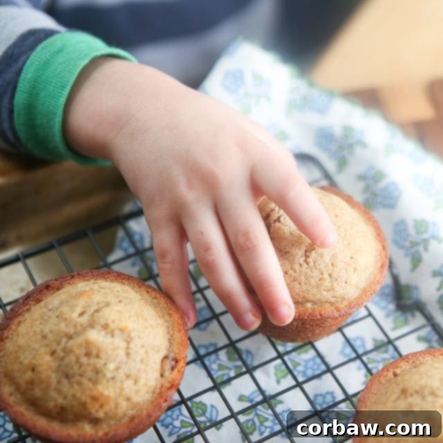 A close-up of a delightful Cinnamon Banana Nut Muffin, showcasing its moist texture and inviting aroma.
