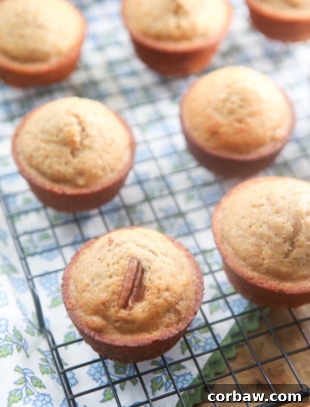 Close-up view of freshly baked Cinnamon Banana Nut Muffins with visible pecans and a hint of spice.