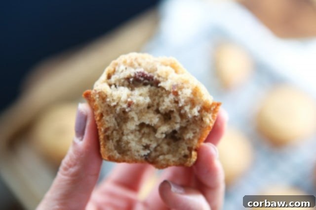 A beautiful display of golden-brown Cinnamon Banana Nut Muffins, showcasing their perfect texture and inviting aroma.