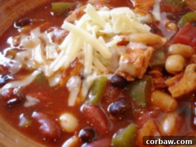 ChiliJamie - A vibrant Southwest shredded chicken three-bean chili, rich in color and texture.