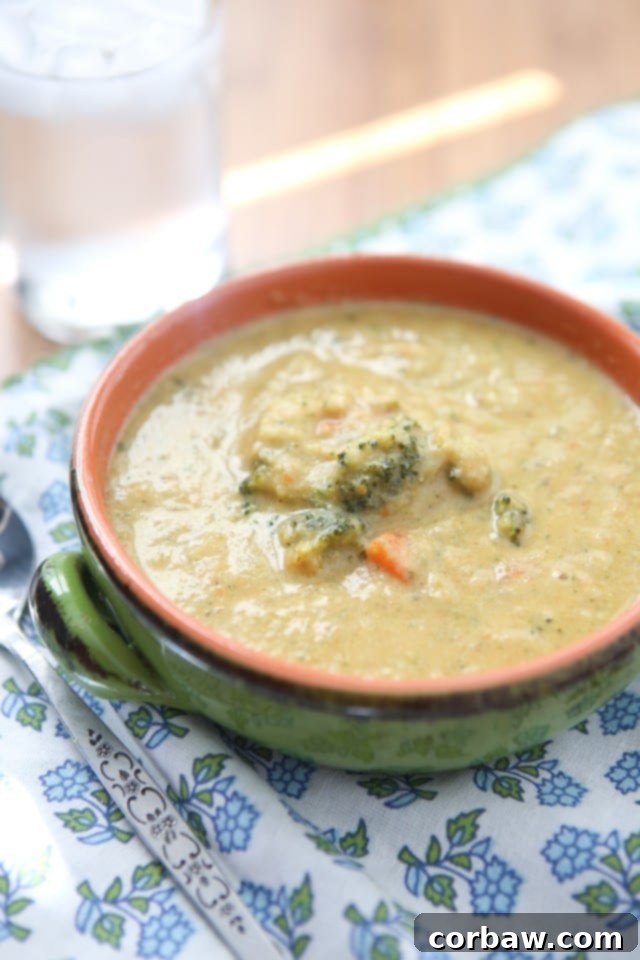 Wholesome Lightened Up Broccoli Cheese Soup A bowl of creamy, lightened-up broccoli cheese soup garnished with fresh parsley, highlighting its wholesome ingredients and inviting texture. Perfect for a healthy comfort food meal.