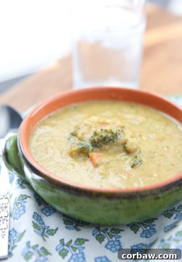 Smoky White Bean and Sausage Stew with Spinach 3 A creamy, lightened-up broccoli cheese soup, garnished with fresh herbs, promising warmth and indulgence without the guilt.