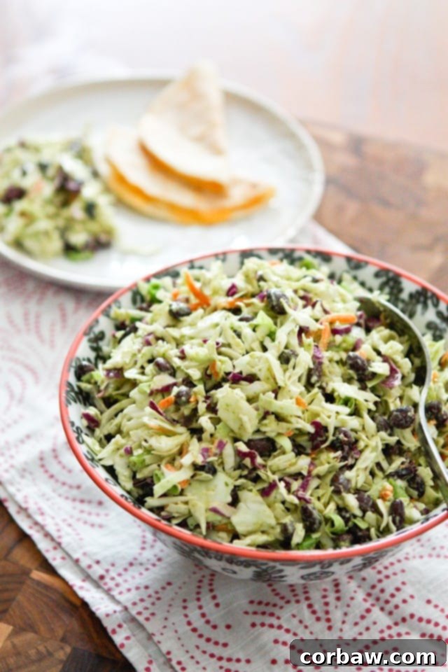Mexican Slaw Salad with Black Beans