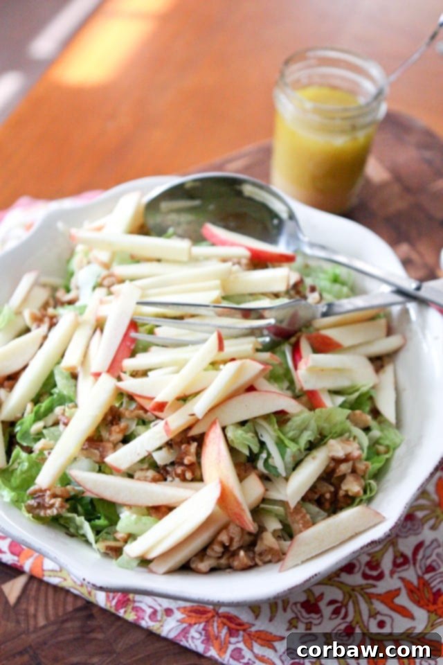 Apple, Celery and Walnut Salad with Honey Dijon Vinaigrette | Aggie's Kitchen