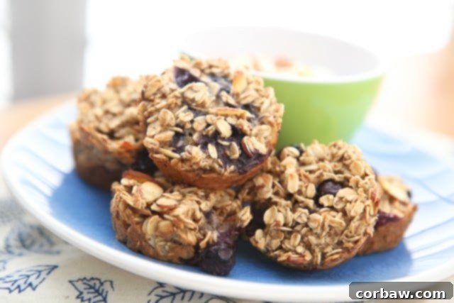 We love this recipe for Blueberry Almond Oatmeal Bites for breakfast or a healthy snack! Serve with vanilla Greek yogurt and a drizzle of honey, so good!