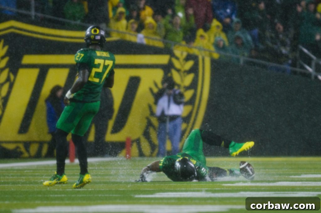 Football Season Ignites 4 An Oregon Ducks player diving into a large puddle on the football field during a rain-soaked game.
