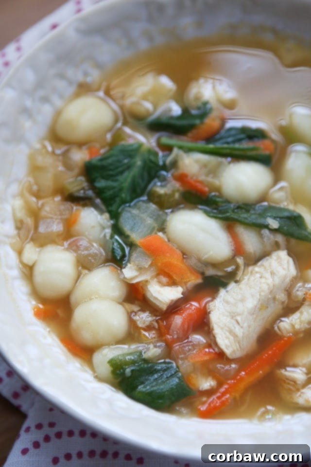 Delicious and healthy Chicken Gnocchi Soup, packed with protein and vegetables, ideal for a comforting meal.
