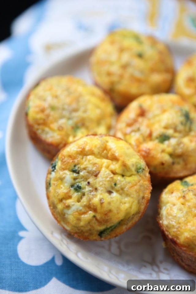 Nutritious Broccoli Cheese Frittata Muffins with Quinoa – perfect for healthy meal prep and quick family snacks!
