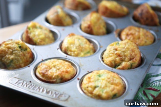 Easy-to-make Broccoli Cheese Frittata Muffins – an ideal recipe for busy mornings and healthy snacks!