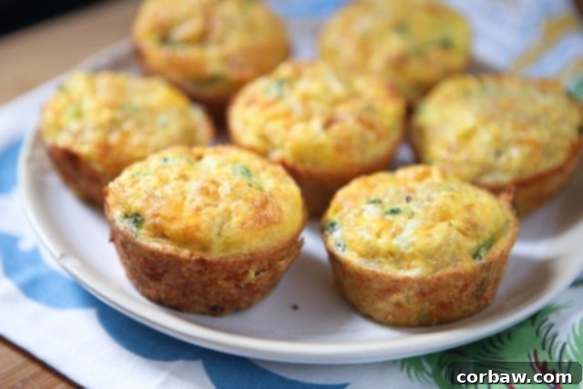 Versatile Broccoli Cheese Frittata Muffins with Quinoa – an excellent addition to any meal prep routine!