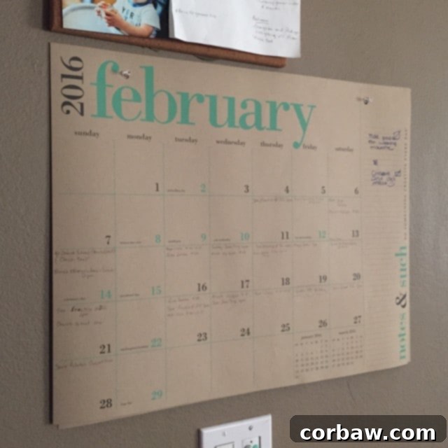 Friday Vibes 2 - A snapshot of daily life, including meal planning and books