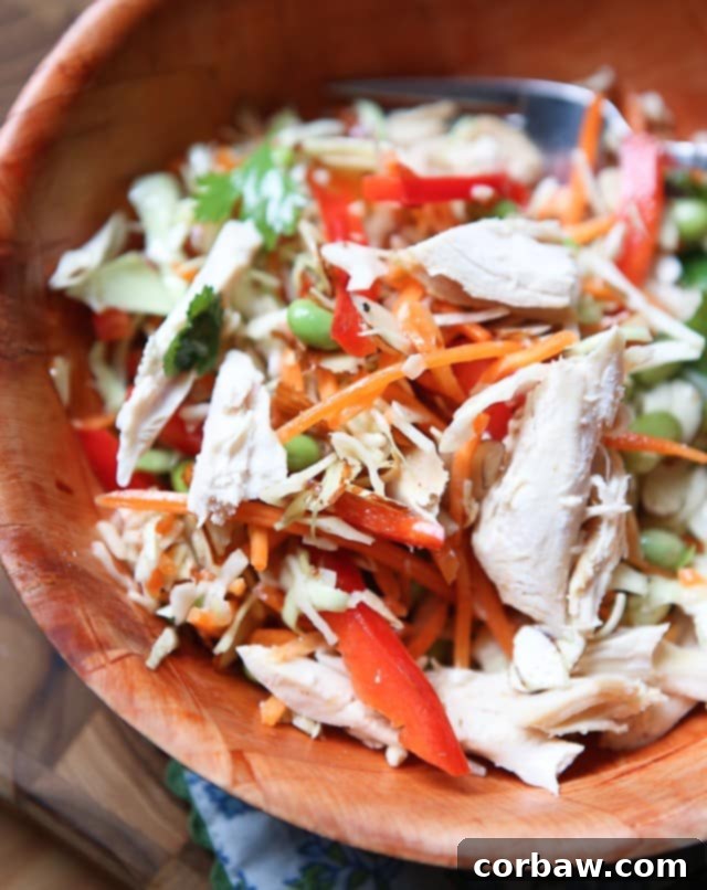Asian Almond Slaw Salad A hearty serving of Asian Slaw Salad, featuring a mix of colorful vegetables, Fisher sliced almonds, and edamame, generously topped with shredded chicken and presented beautifully in a rustic wooden bowl.